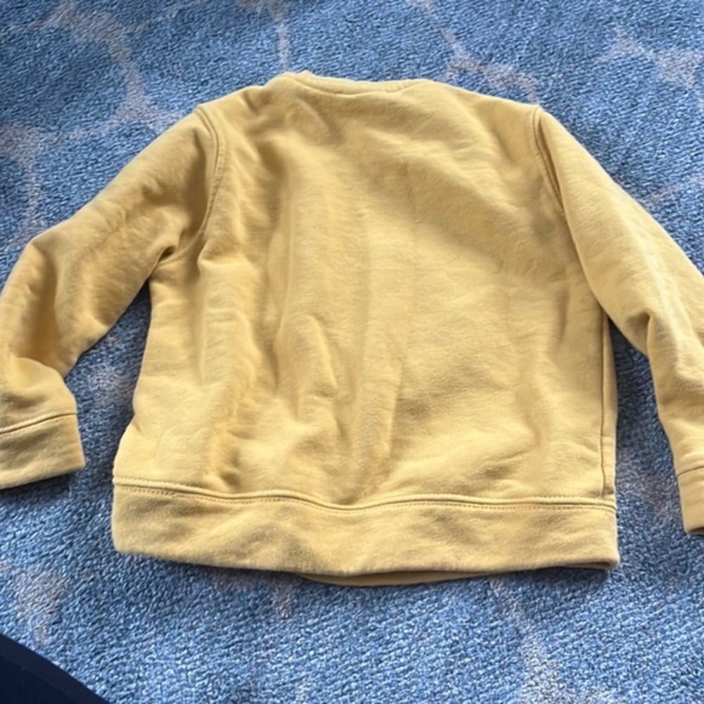 Zara Tiger 🐯 Sweater - Picture 4 of 4